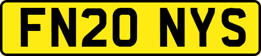 FN20NYS