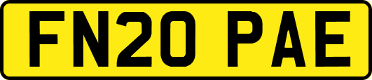 FN20PAE