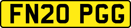 FN20PGG