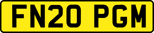 FN20PGM