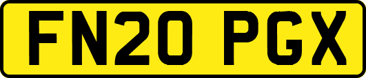 FN20PGX