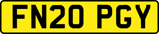 FN20PGY
