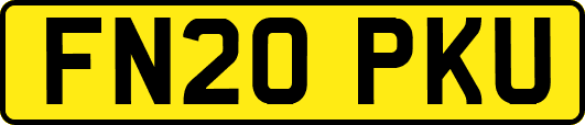 FN20PKU