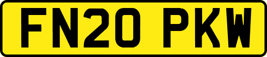 FN20PKW