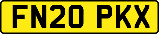 FN20PKX