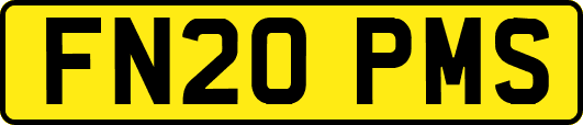 FN20PMS