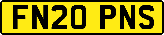FN20PNS