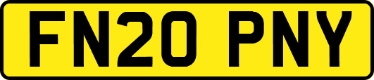 FN20PNY