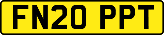 FN20PPT