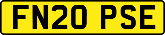 FN20PSE