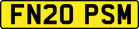 FN20PSM
