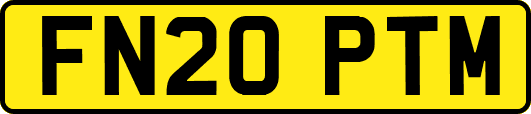 FN20PTM