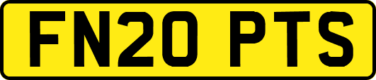 FN20PTS