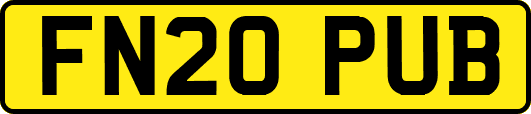 FN20PUB