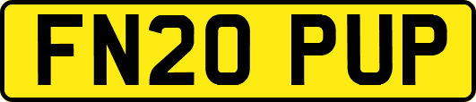 FN20PUP