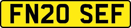 FN20SEF