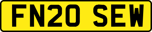 FN20SEW