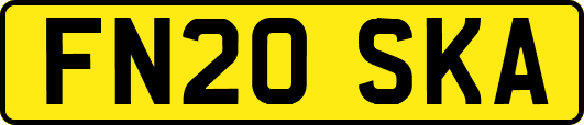 FN20SKA