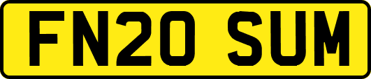 FN20SUM