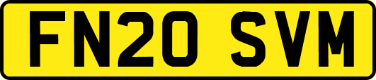 FN20SVM