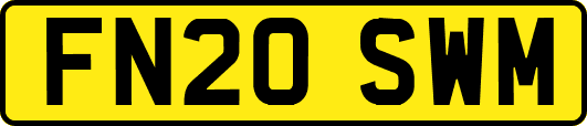 FN20SWM