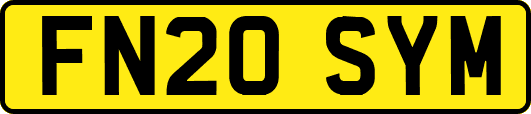 FN20SYM