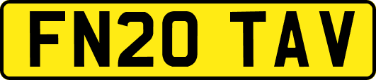 FN20TAV