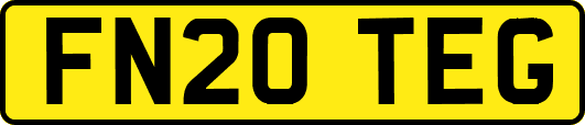 FN20TEG