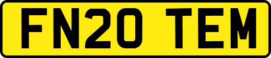 FN20TEM