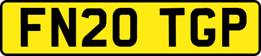 FN20TGP