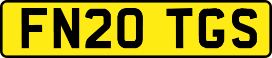 FN20TGS