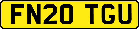FN20TGU