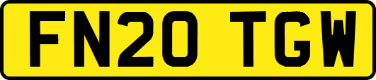FN20TGW