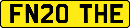 FN20THE