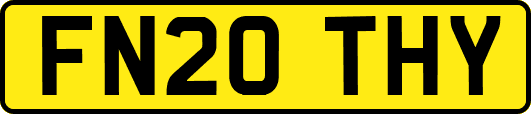 FN20THY