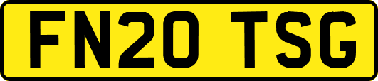FN20TSG