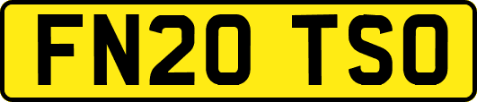FN20TSO