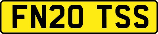 FN20TSS
