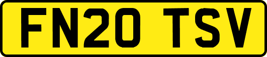 FN20TSV