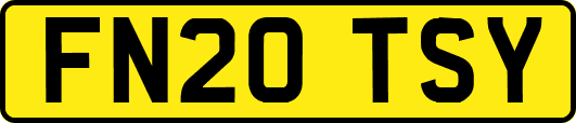 FN20TSY