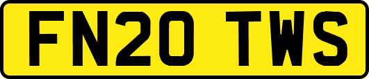 FN20TWS