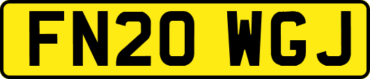 FN20WGJ