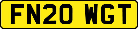 FN20WGT