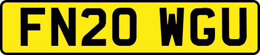 FN20WGU