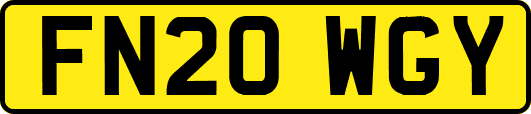 FN20WGY