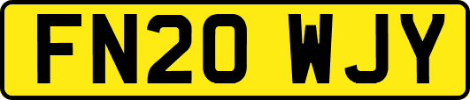 FN20WJY