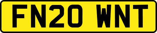 FN20WNT