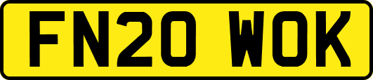 FN20WOK