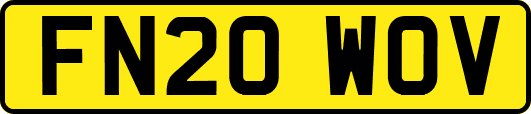 FN20WOV