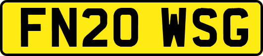 FN20WSG